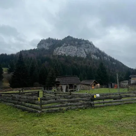 Zazi Fatrapark Hrabovo