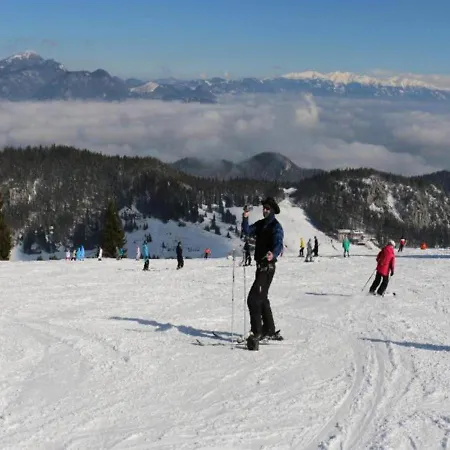 Zazi Fatrapark Hrabovo 公寓 鲁容贝罗克