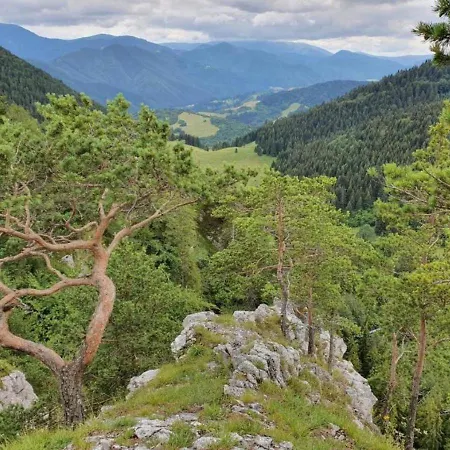 Zazi Fatrapark Hrabovo Lägenhet *